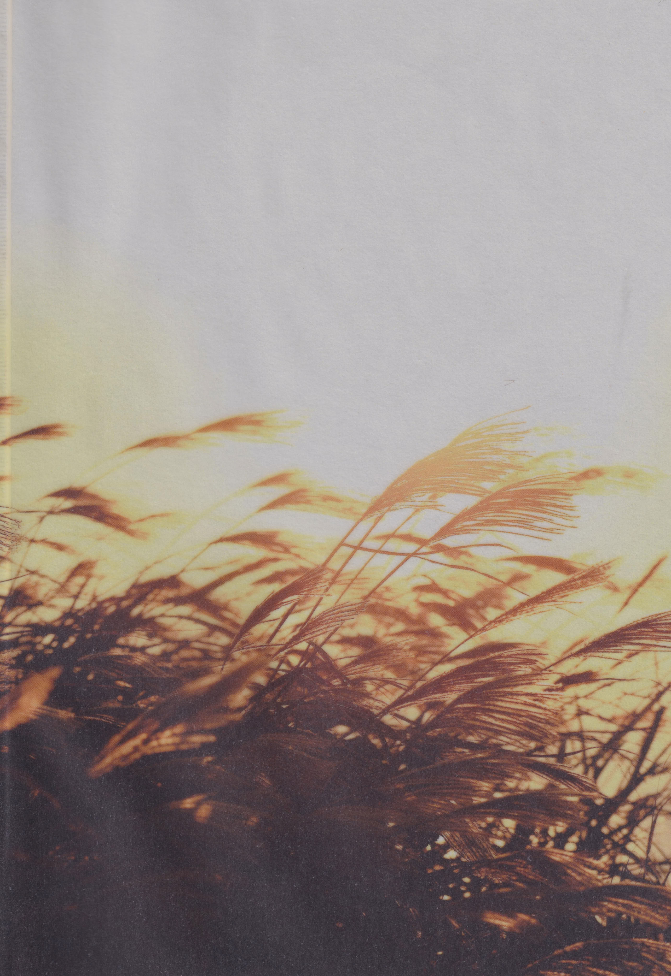 图片[2]-(SPARK19) [bowwowo (もとび)] 神無月の暮に (犬夜叉) [不咕鸟汉化组]-米哈社