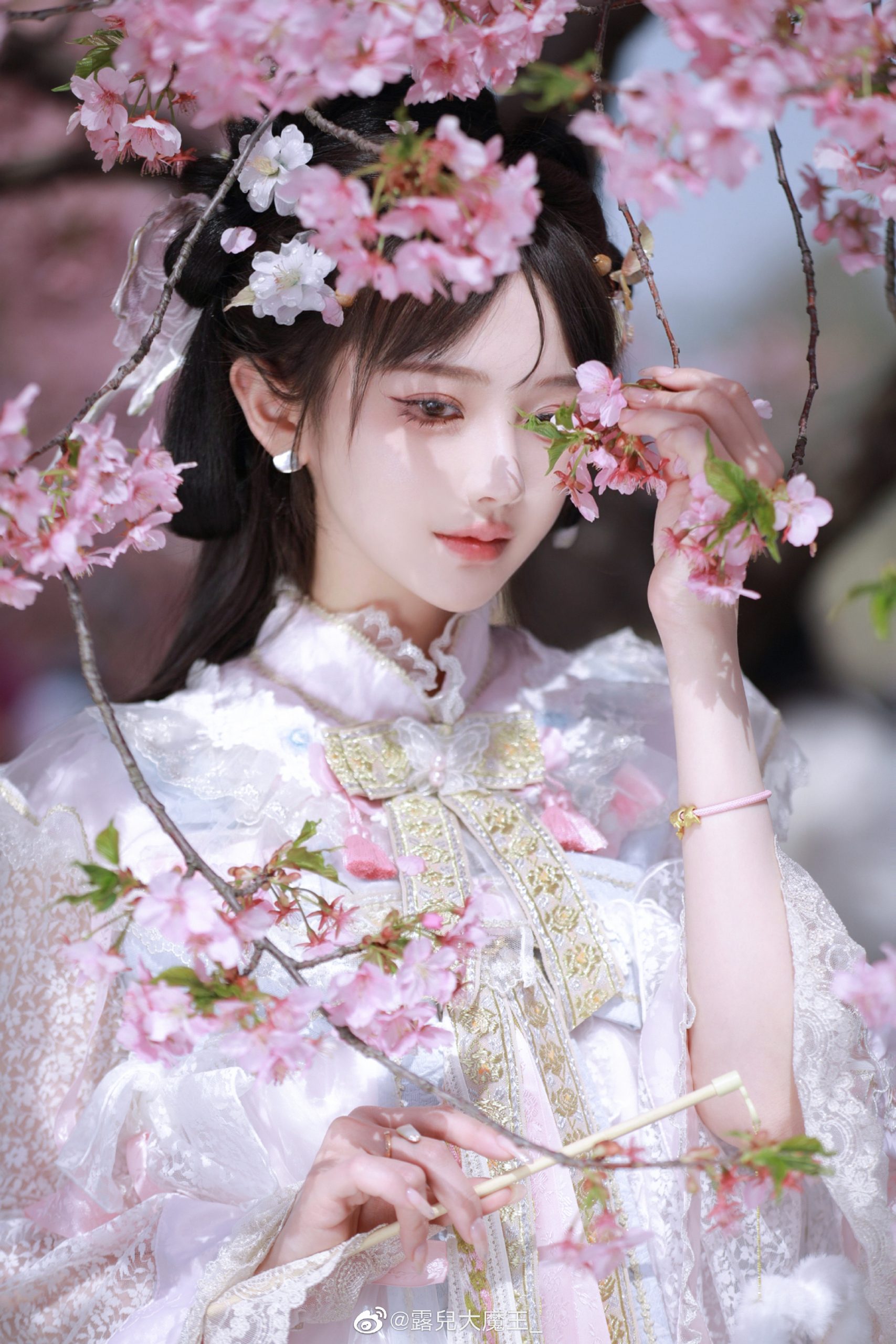 收到了樱花的图 我甚至忘记了这件事。🌸 樱茶@露兒大魔王_-米哈社